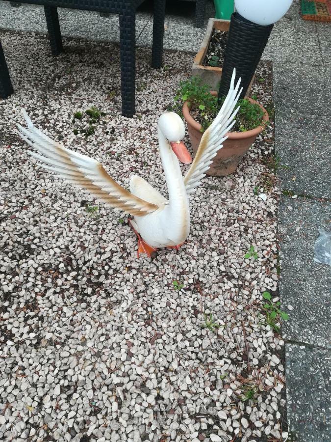 1 Stanza Aeroporto Venezia - Ricarica Elettrica Séjour chez l'habitant *